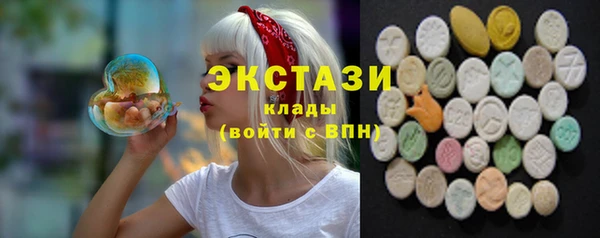 индика Заволжье