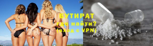 индика Заволжье