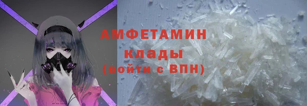 индика Заволжье