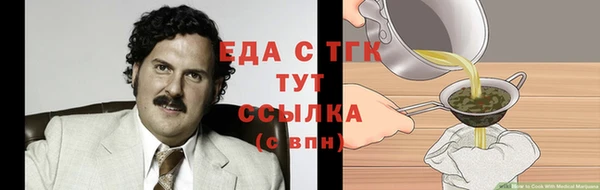 индика Заволжье
