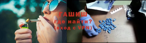 индика Заволжье