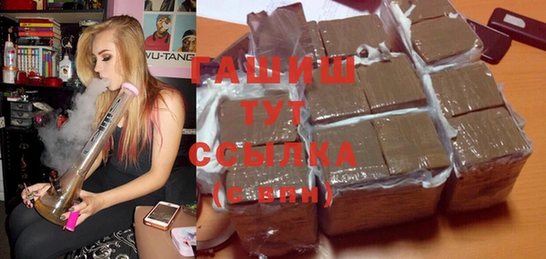 индика Заволжье