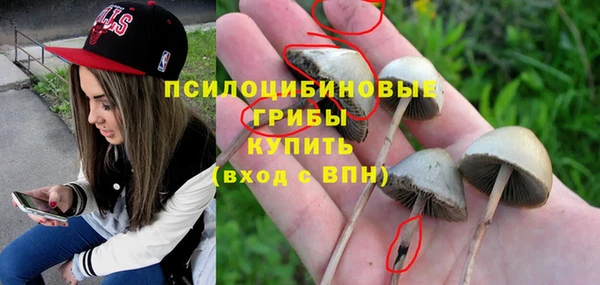 а пвп мука Заволжск