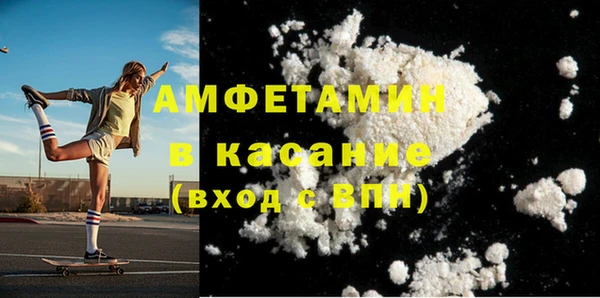 индика Заволжье
