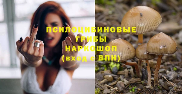 индика Заволжье