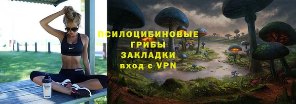 индика Заволжье