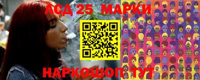a pvp Кингисепп