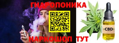 a pvp Кингисепп
