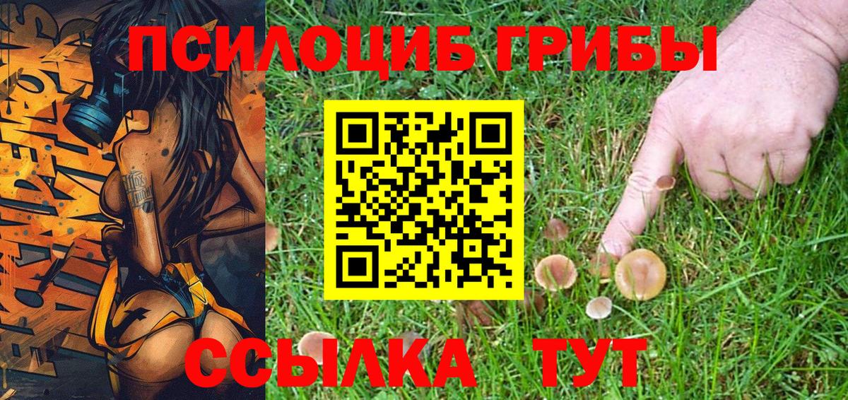 Галлюциногенные грибы GOLDEN TEACHER  Вход с VPN  Можайск 